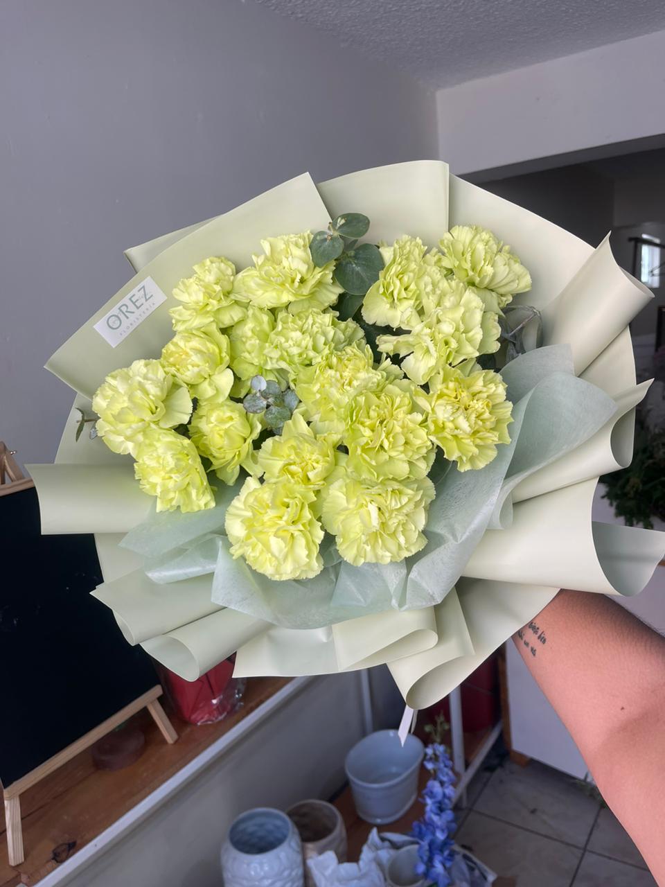 17 Claveles con Follaje